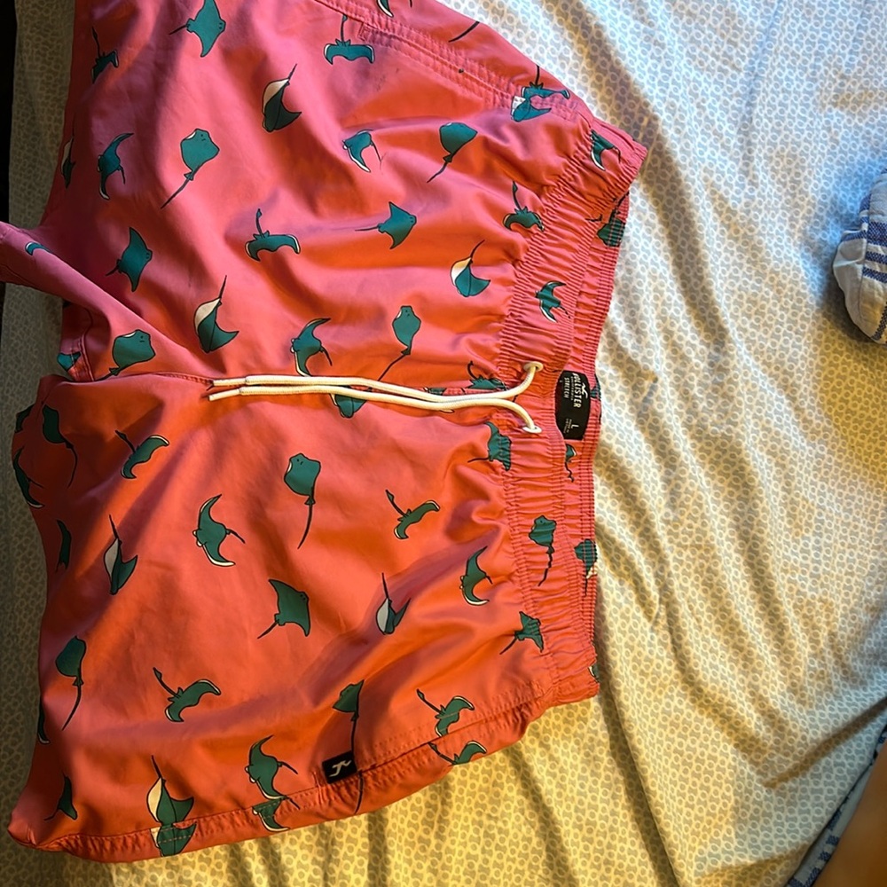 Men’s Large Hollister Shorts ($15)(Perfect Condition)